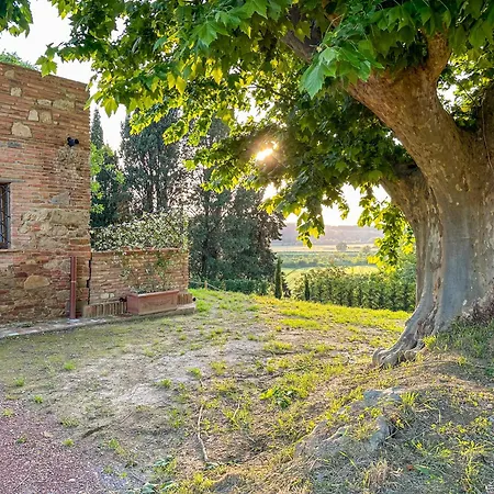 Tenuta I 4 Venti Коллесальветти